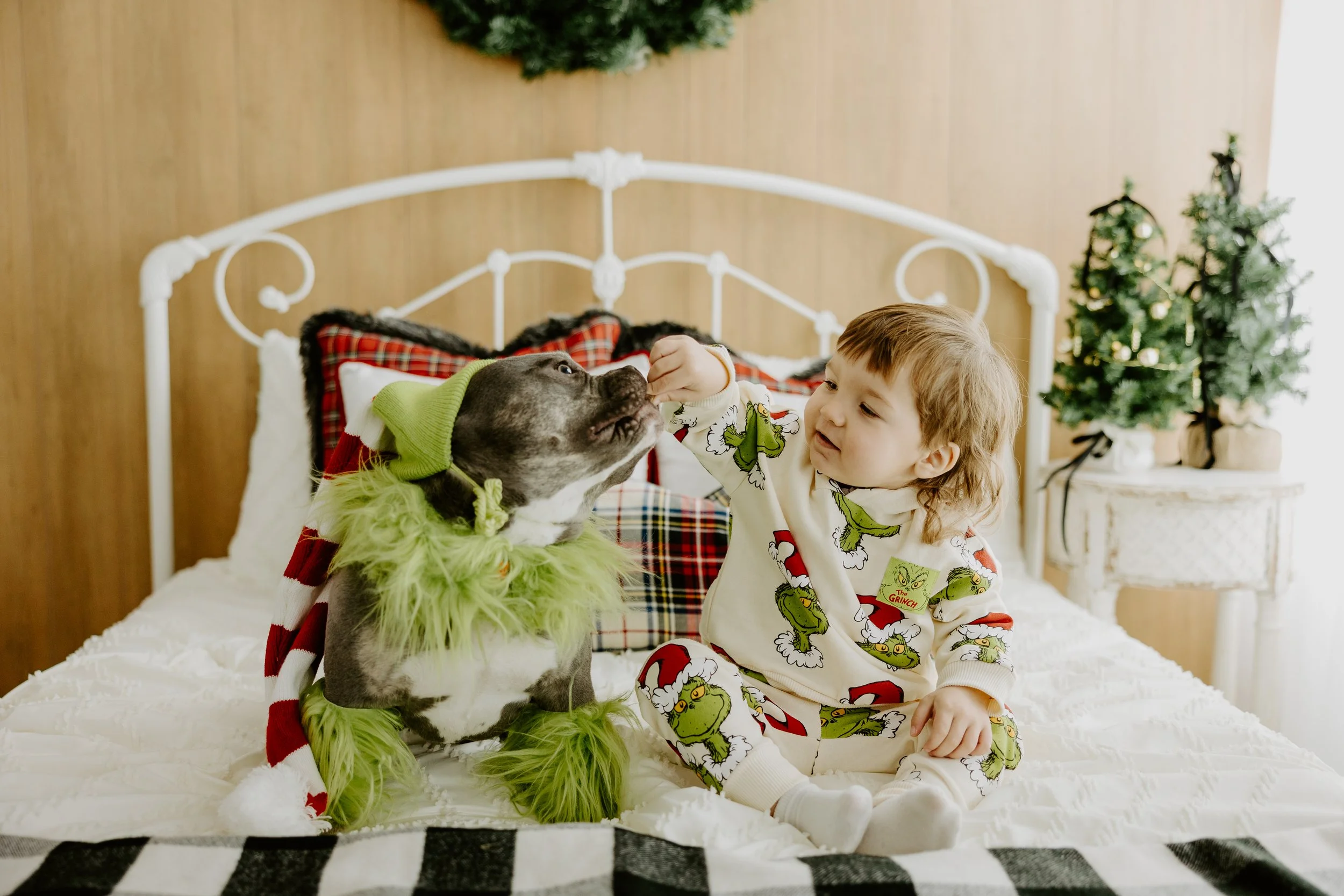 a boy and his dog on a bed dressed for Christmas
