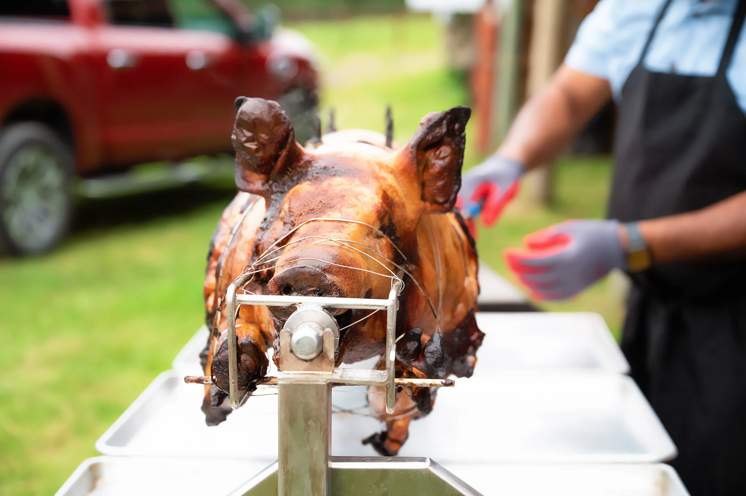20250809-DSC_2291-Edit-2.jpg