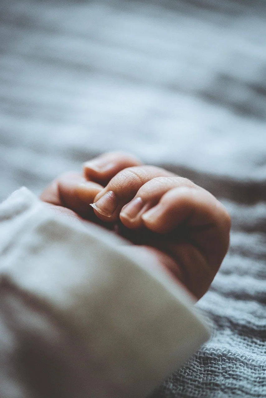 studio32-baby-hand-4499356_1280.jpg