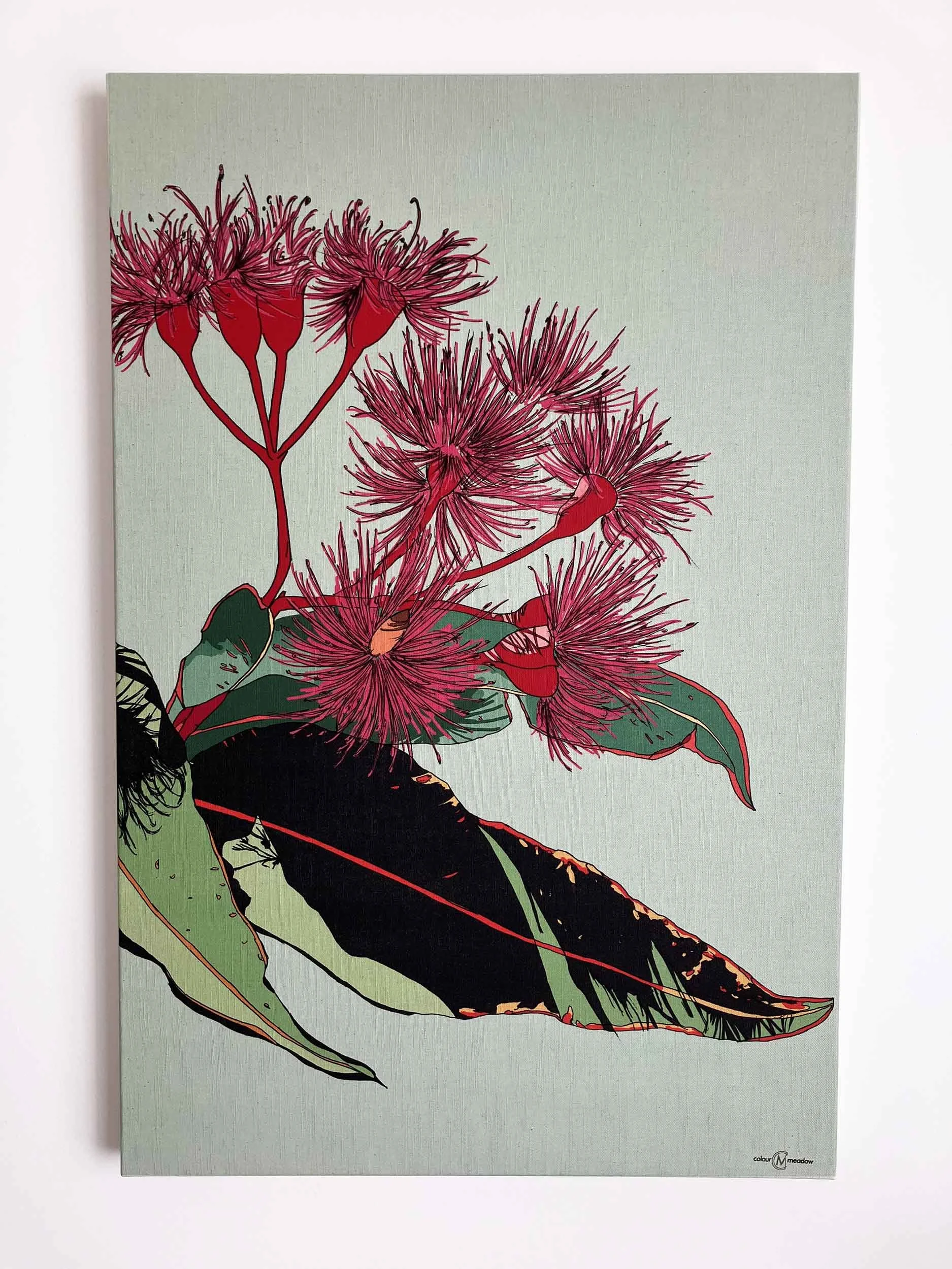 colourmeadow gum flowers portrait front.jpg