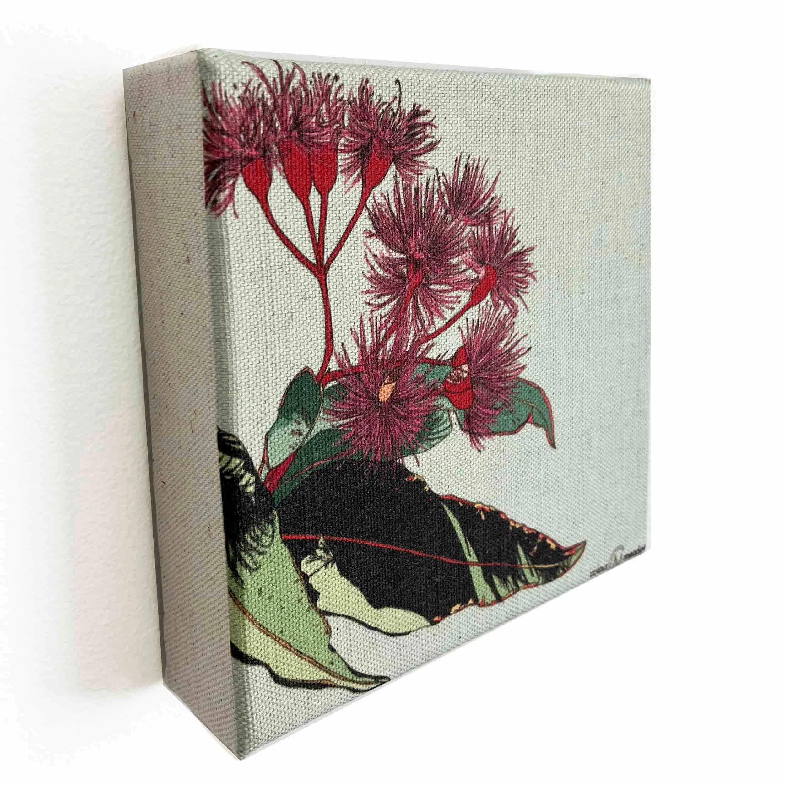 colourmeadow gum flowers mini canvas side.jpg