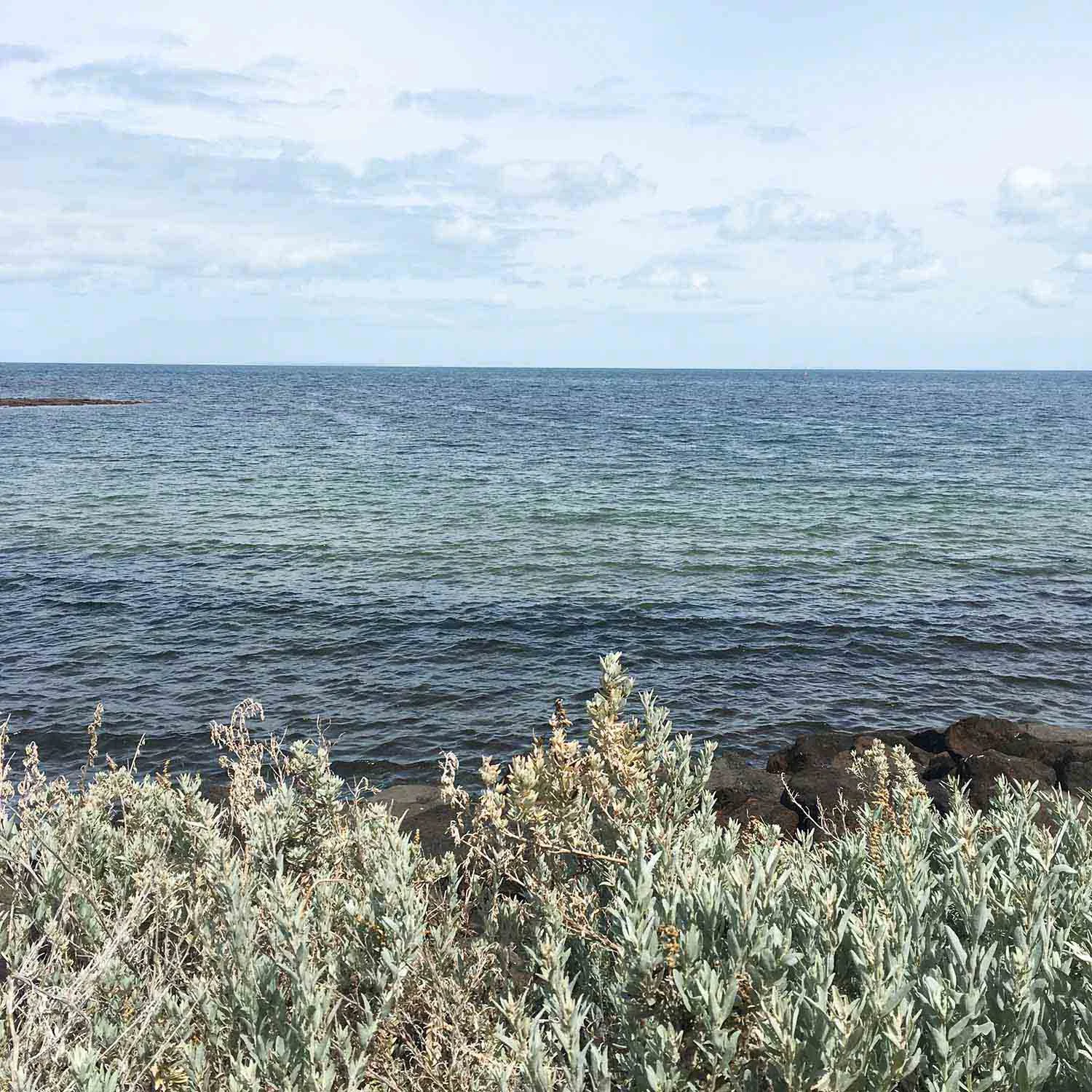 colourmeadow inspiration.jpg