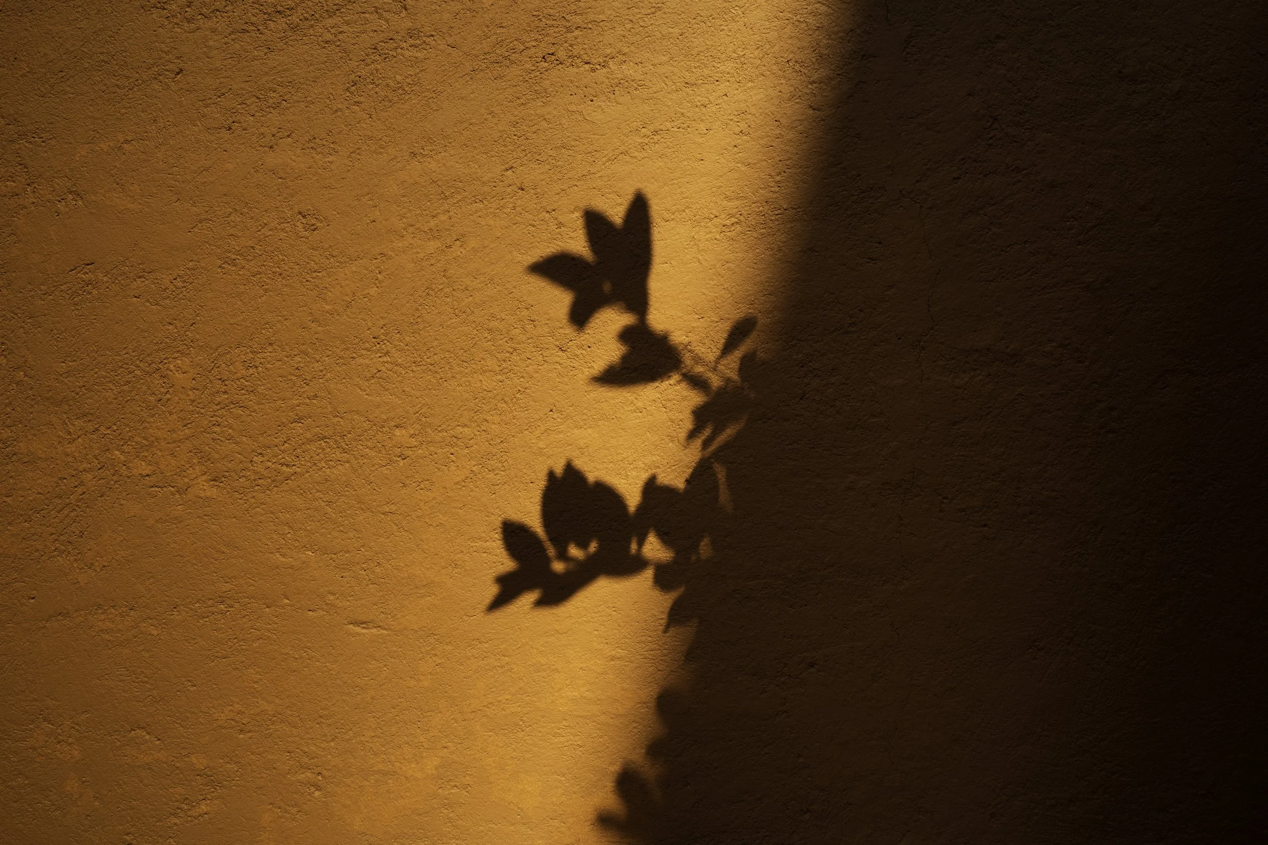054_R006914.jpg