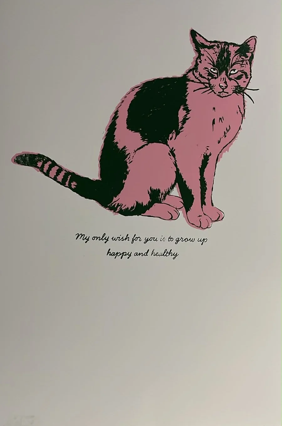 gato01.jpg