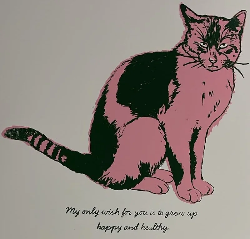 gato02.jpg