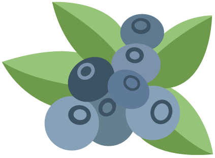 Cluster of blueberries with green leaves