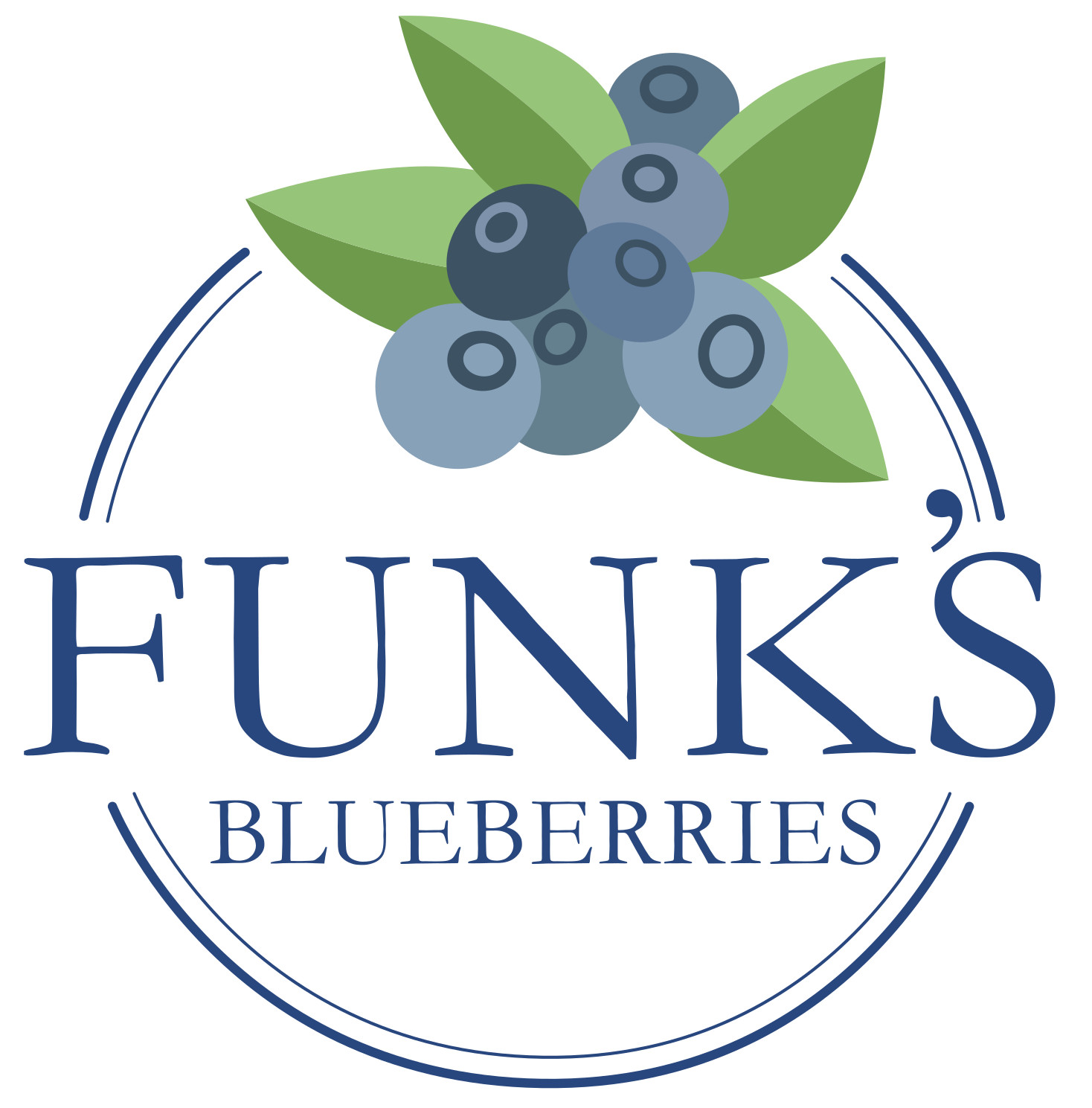 Logo for FUNK'S Blueberries featuring a cluster of blueberries and green leaves with the text "FUNK'S BLUEBERRIES" in blue underneath.