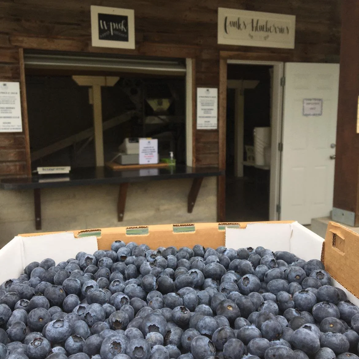 A close-up of a cardboard box filled with fresh blueberries in front of a rustic wooden counter in a store or farm shop setting.