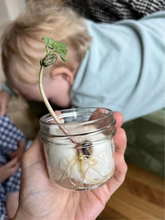 A hand holding a clear glass jar with a sprouting plant inside, showing roots and a small green leaf. A child leaning over in the background appears to be observing the plant.