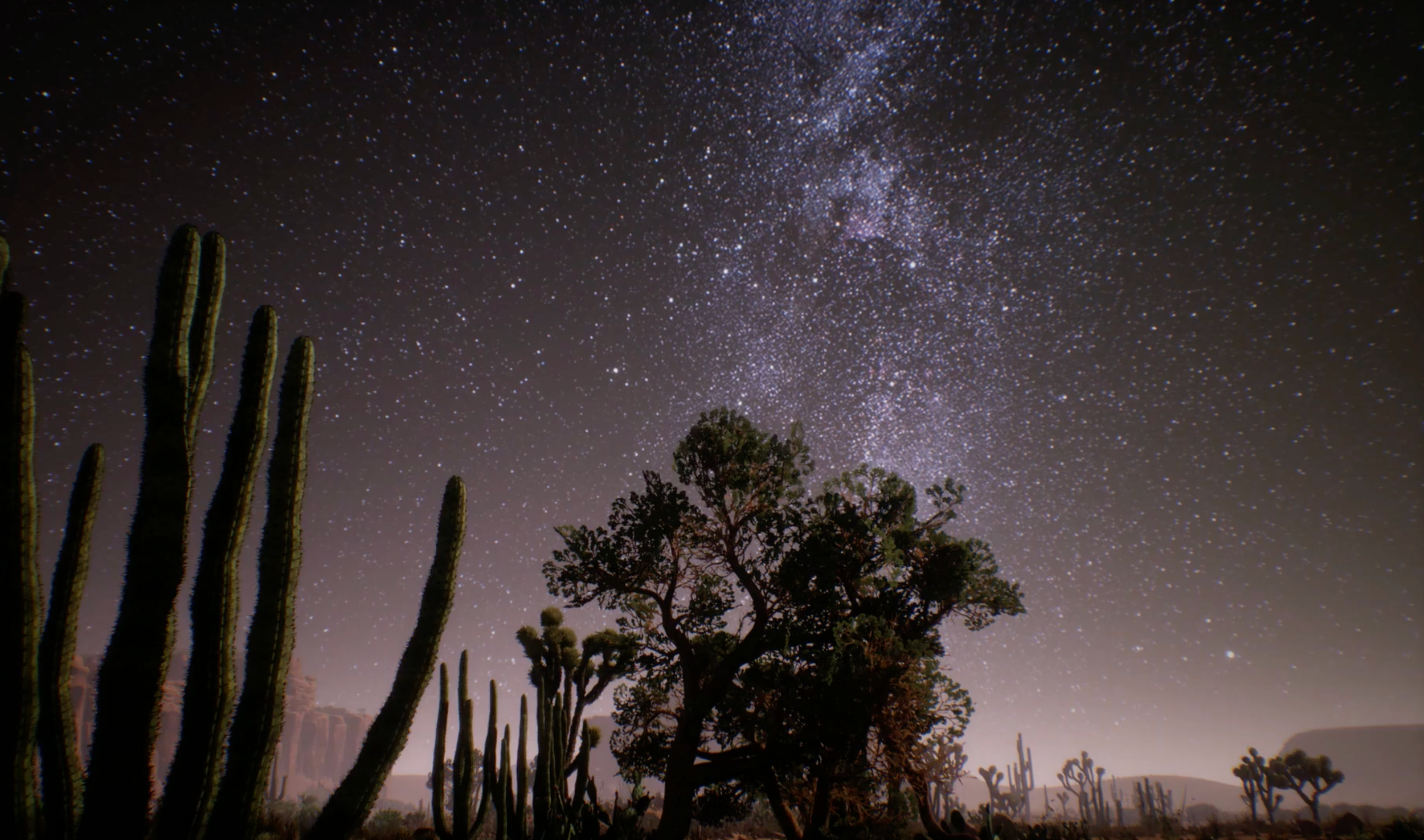 Screenshot 2026-03-11 at 10.35.01 AM.png