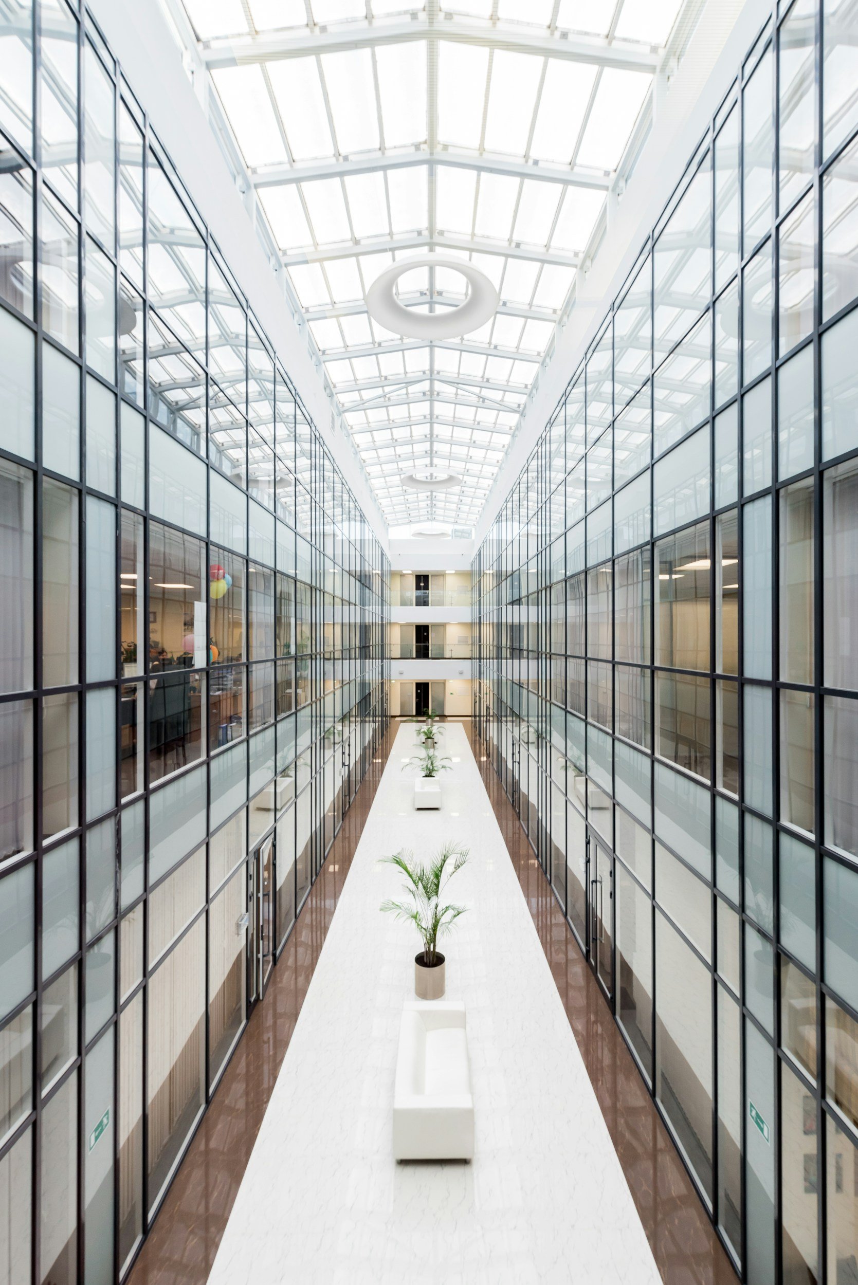 Modern office building interior with glass walls, a white corridor, and potted plants, illuminated by a glass ceiling with round light fixtures.