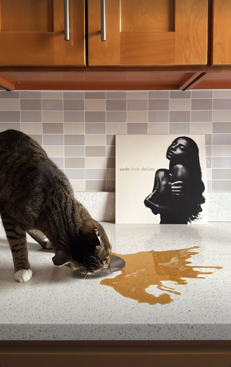 Screenshot 2026-02-12 at 11.44.35 PM.png