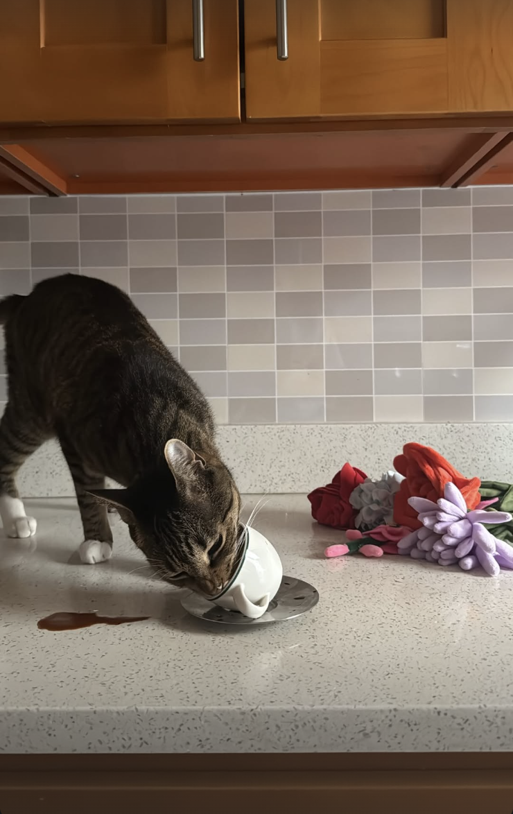 Screenshot 2026-02-12 at 11.45.12 PM.png