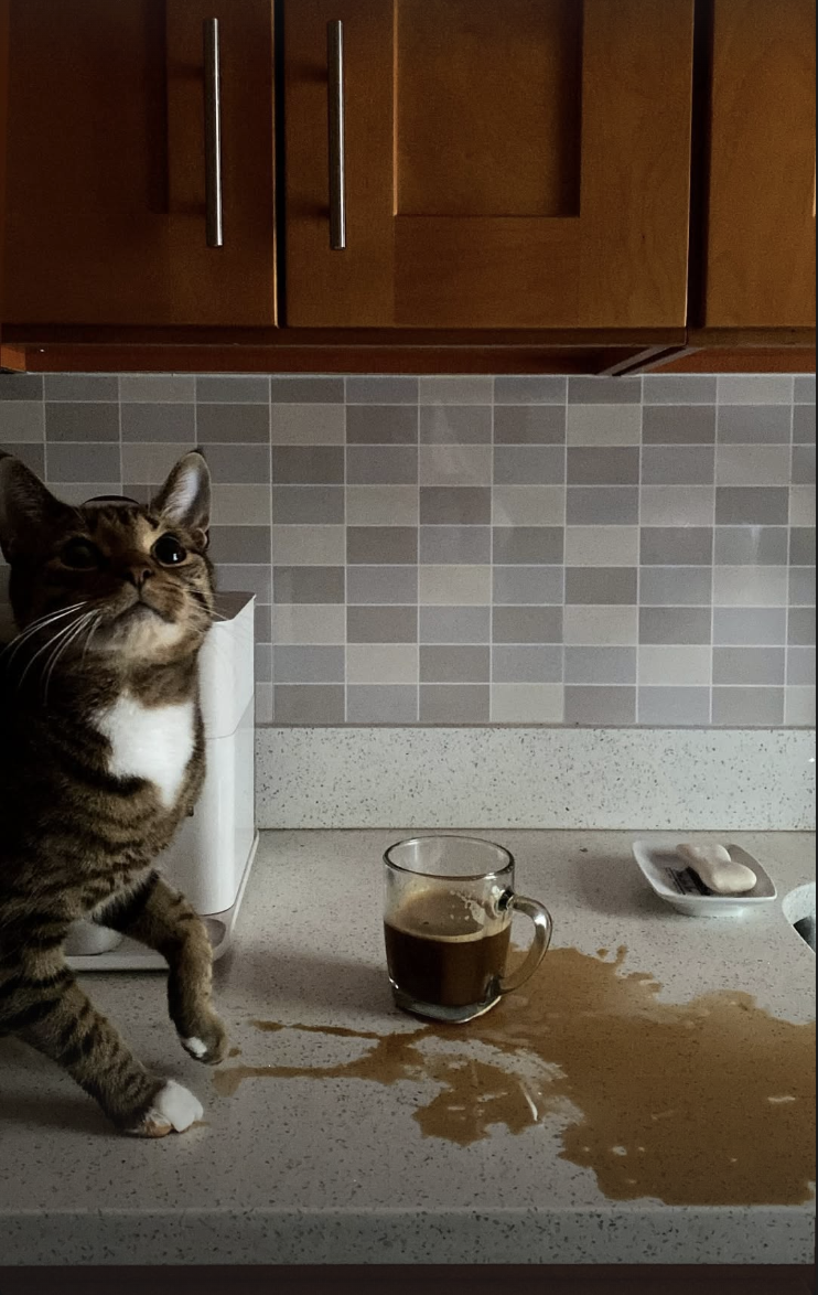 Screenshot 2026-02-12 at 11.41.40 PM.png