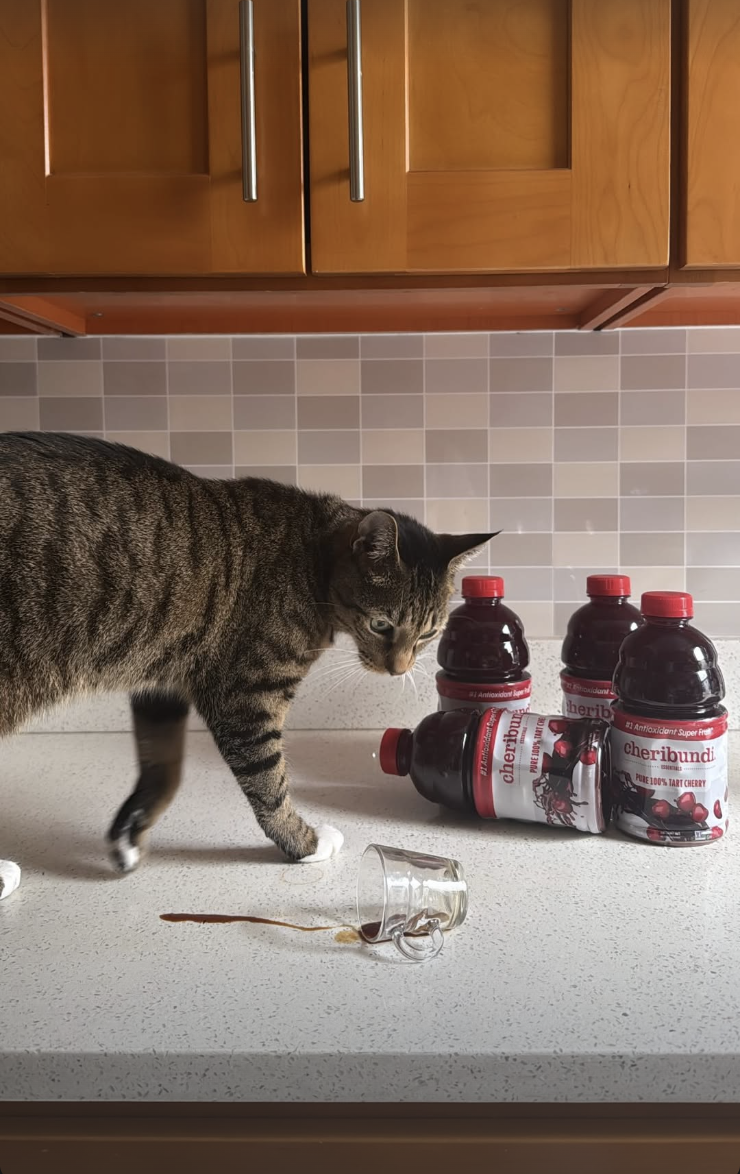 Screenshot 2026-02-12 at 11.45.01 PM.png