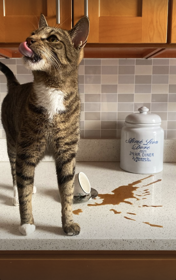 Screenshot 2026-02-12 at 11.43.36 PM.png