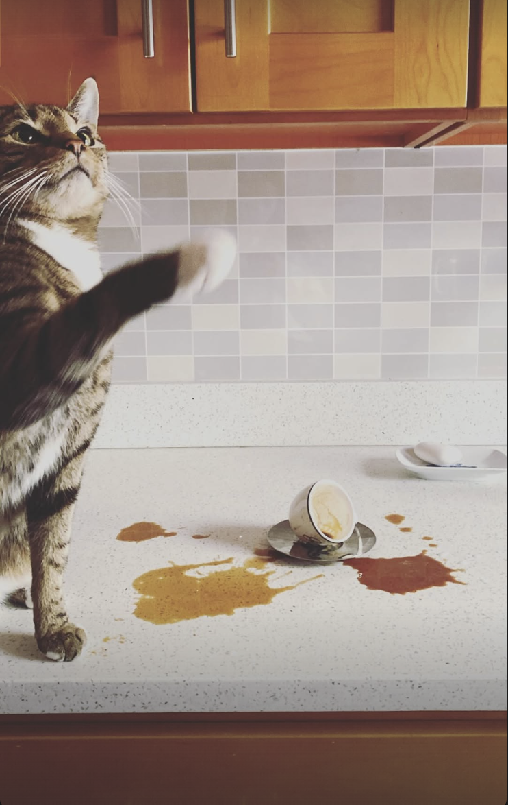 Screenshot 2026-02-12 at 11.42.09 PM.png