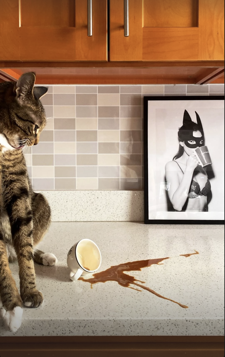 Screenshot 2026-02-12 at 11.42.27 PM.png