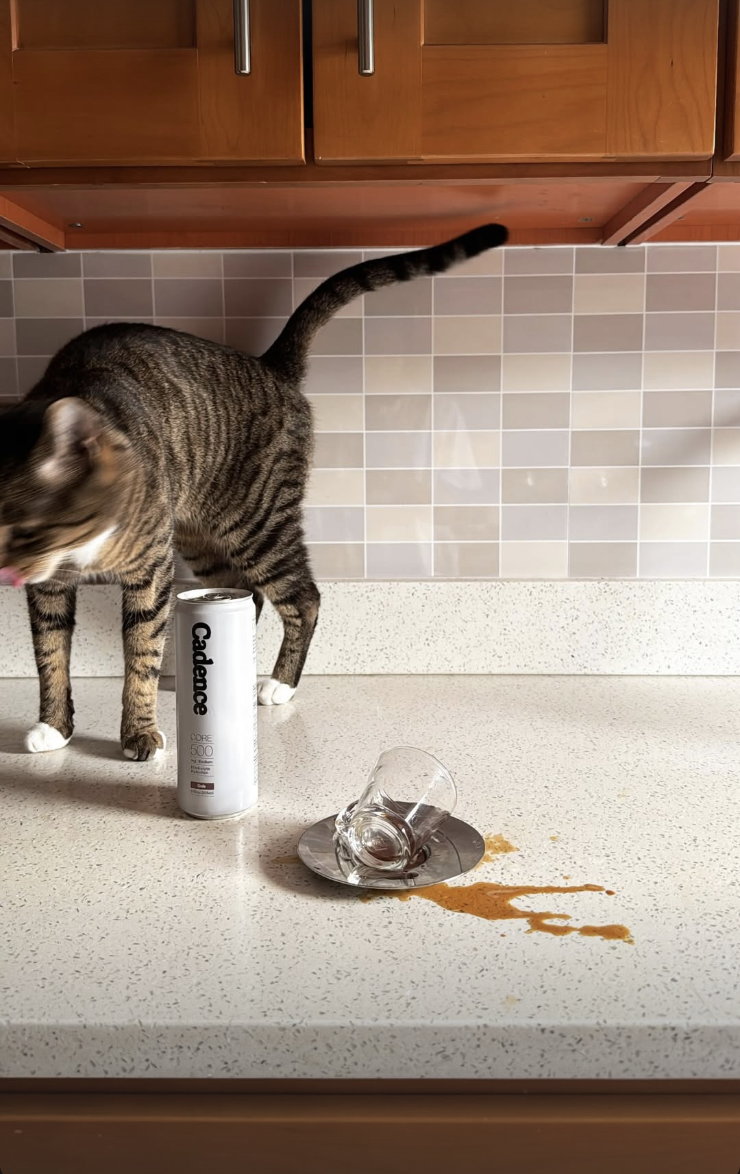 Screenshot 2026-02-12 at 11.44.33 PM.png