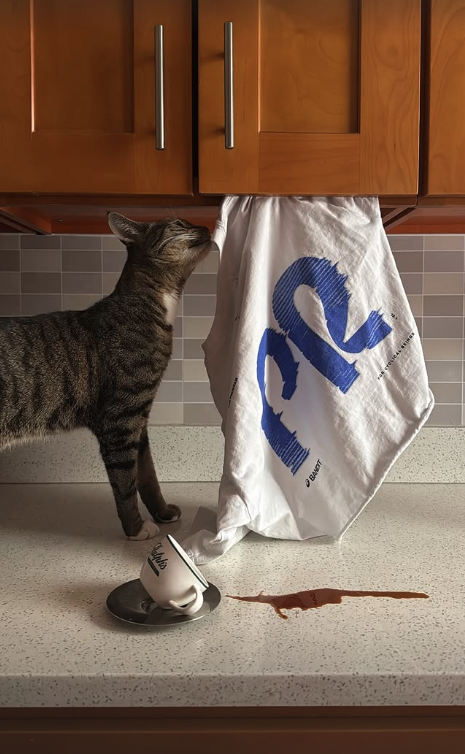 Screenshot 2026-02-19 at 11.42.14 AM.png