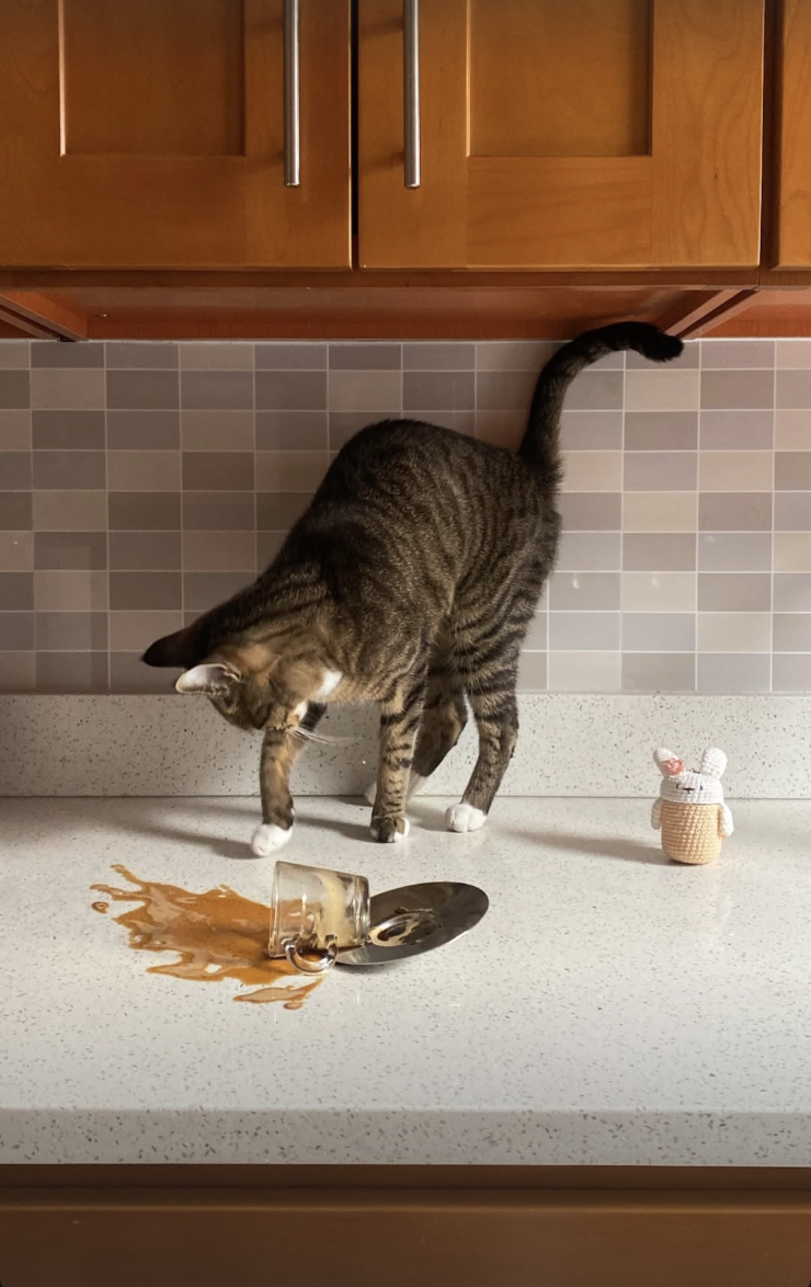 Screenshot 2026-02-12 at 11.44.03 PM.png