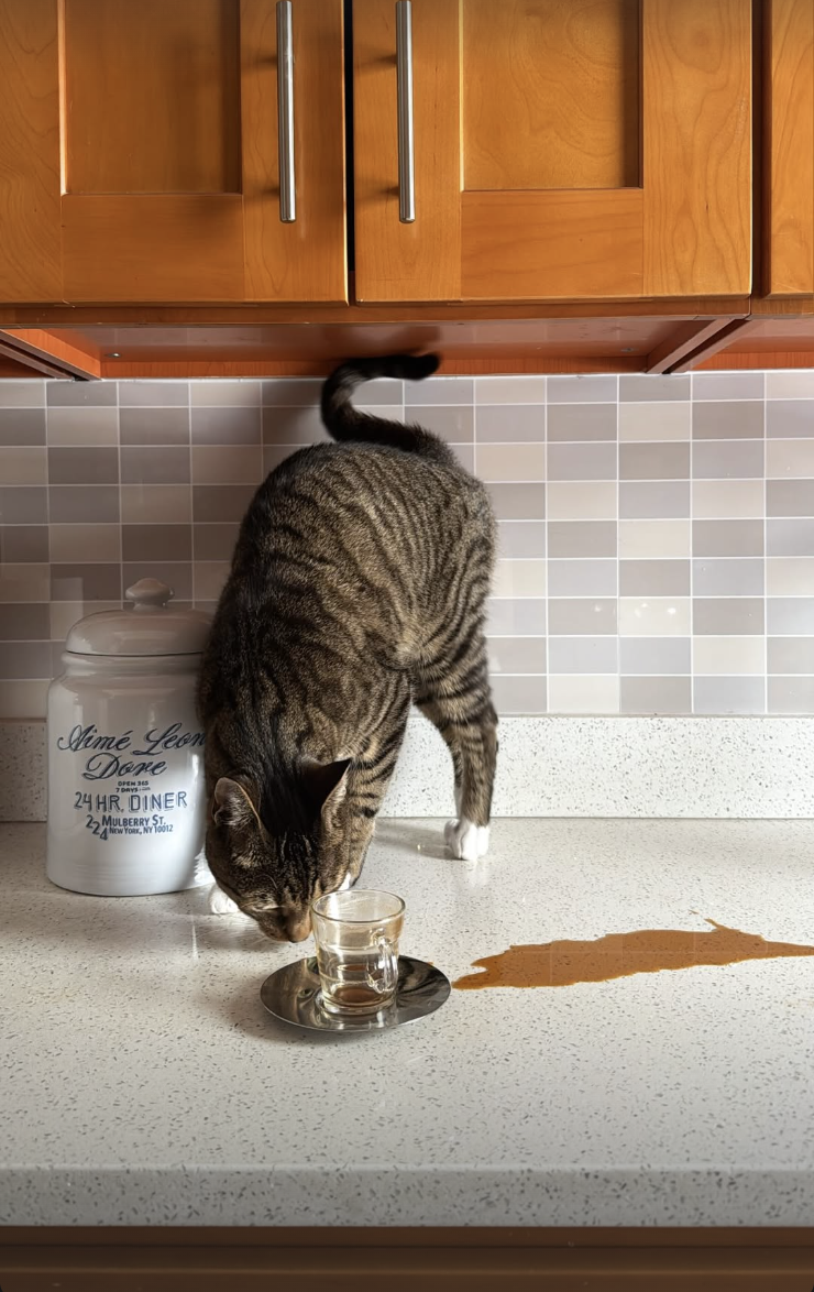 Screenshot 2026-02-12 at 11.44.41 PM.png