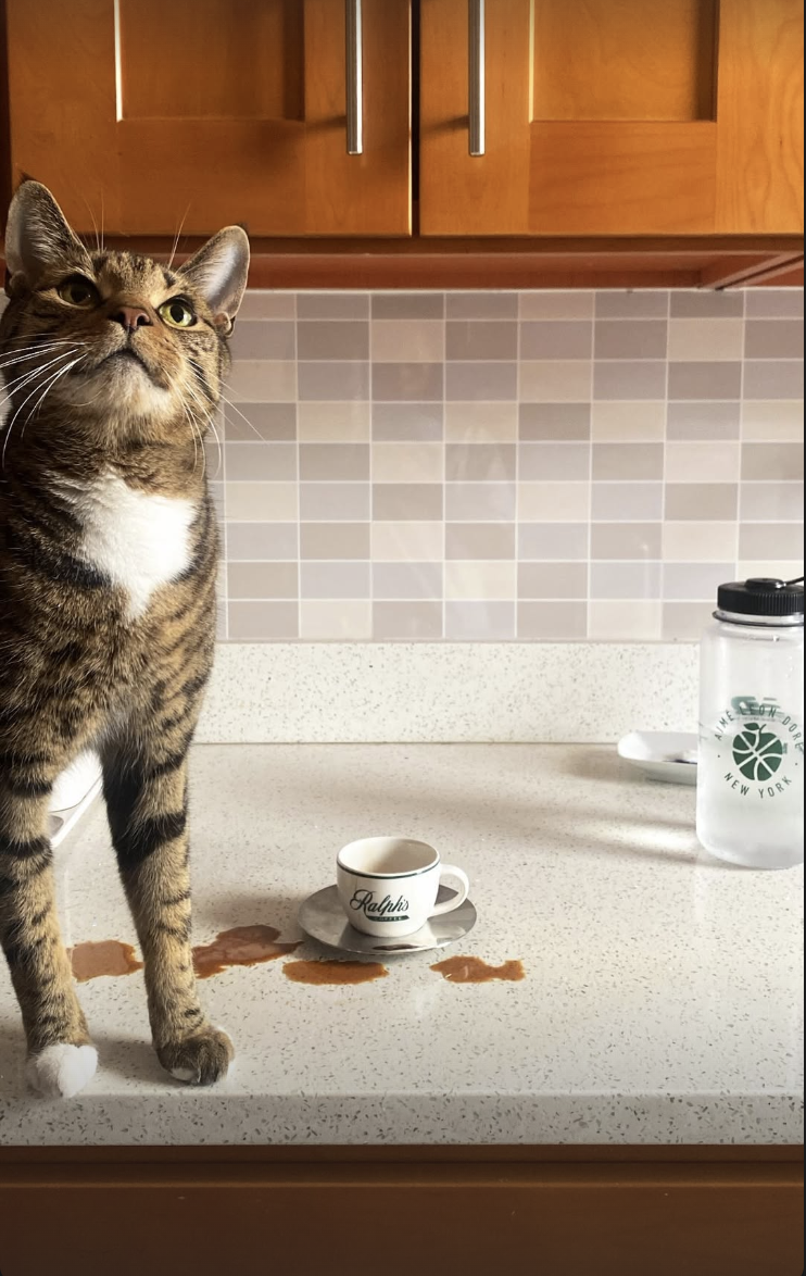 Screenshot 2026-02-12 at 11.41.59 PM.png