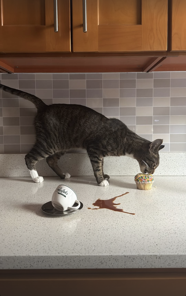 Screenshot 2026-02-12 at 11.44.06 PM.png