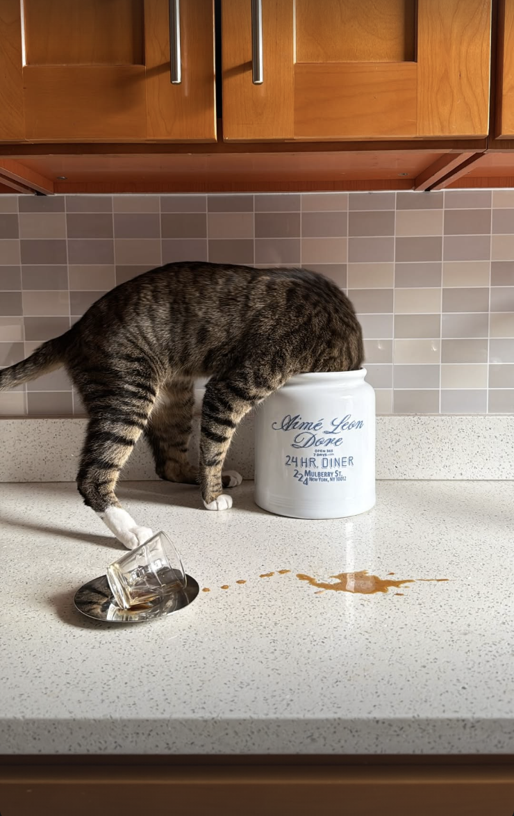 Screenshot 2026-02-12 at 11.44.31 PM.png