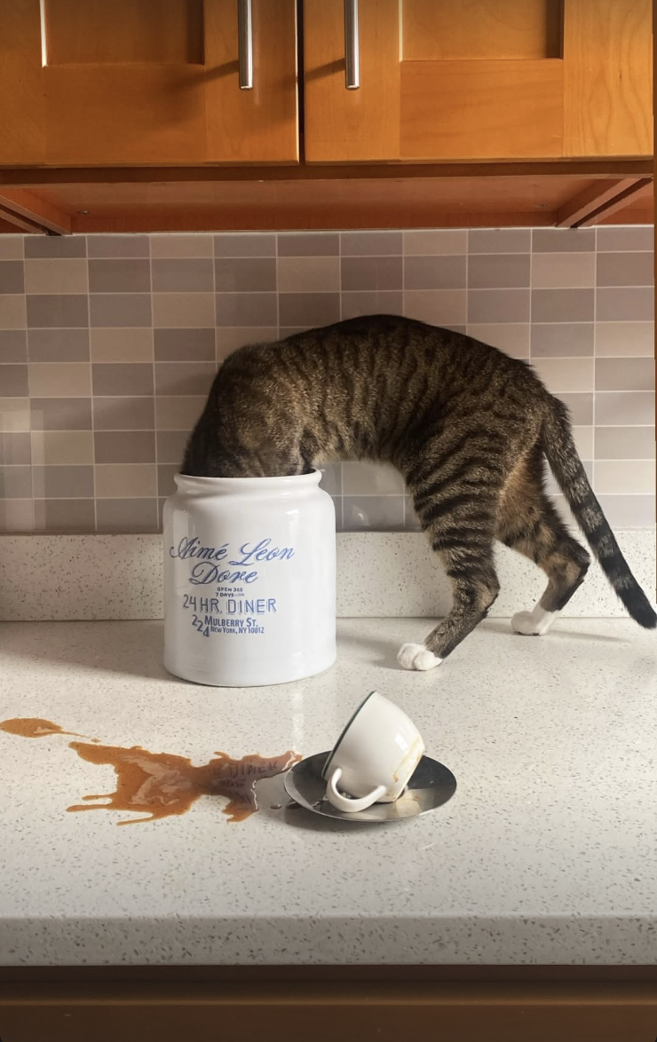 Screenshot 2026-02-12 at 11.43.41 PM.png