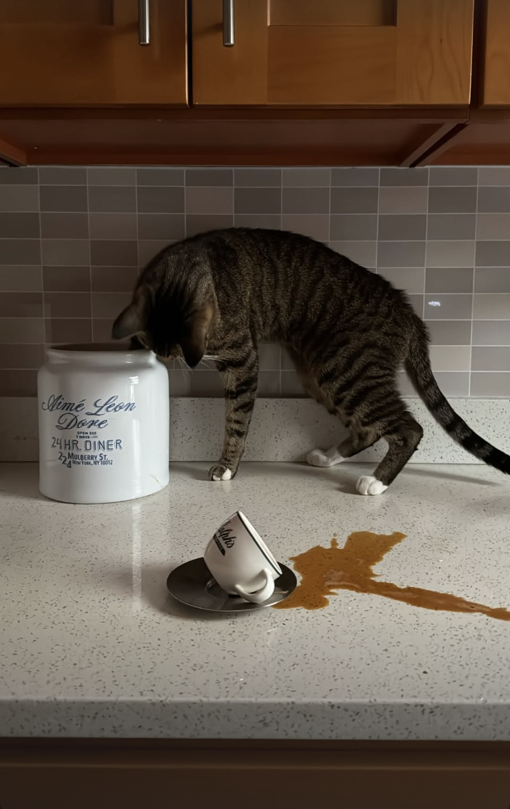 Screenshot 2026-02-12 at 11.43.48 PM.png