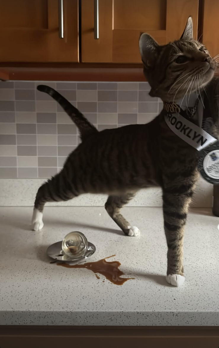 Screenshot 2026-02-12 at 11.44.38 PM.png