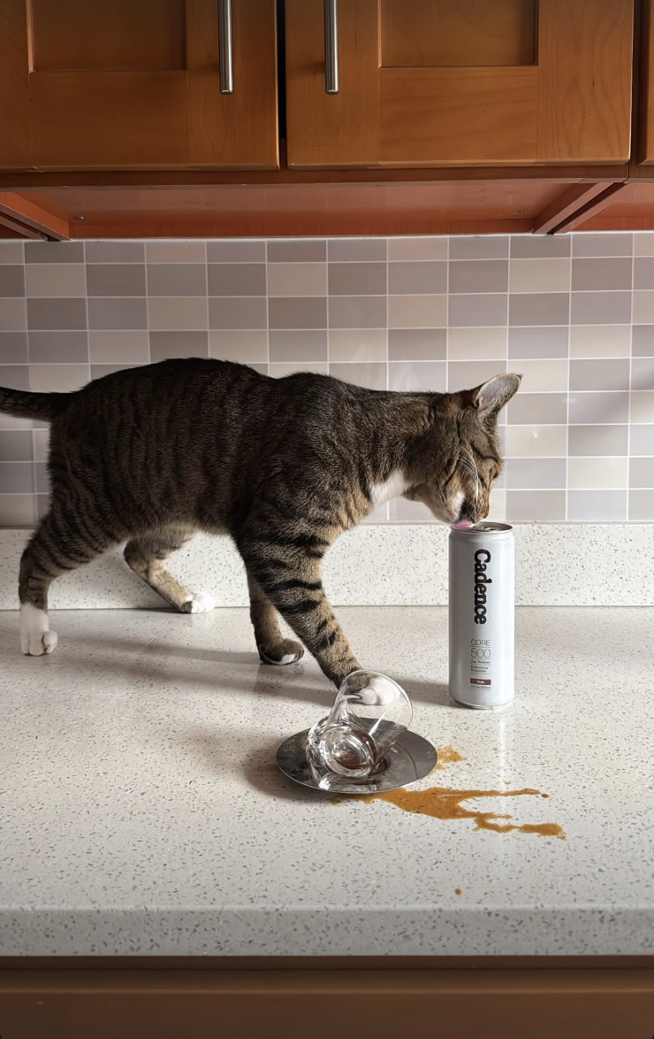 Screenshot 2026-02-12 at 11.44.32 PM.png