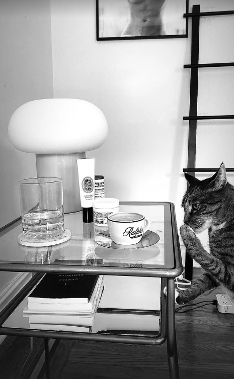 Screenshot 2026-02-19 at 11.43.04 AM.png