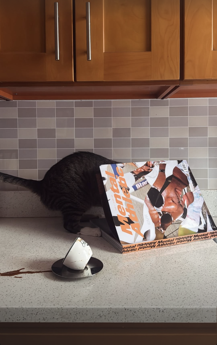 Screenshot 2026-02-12 at 11.45.25 PM.png