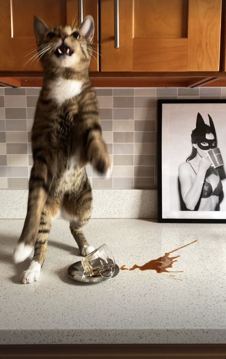 Screenshot 2026-02-12 at 11.43.42 PM.png