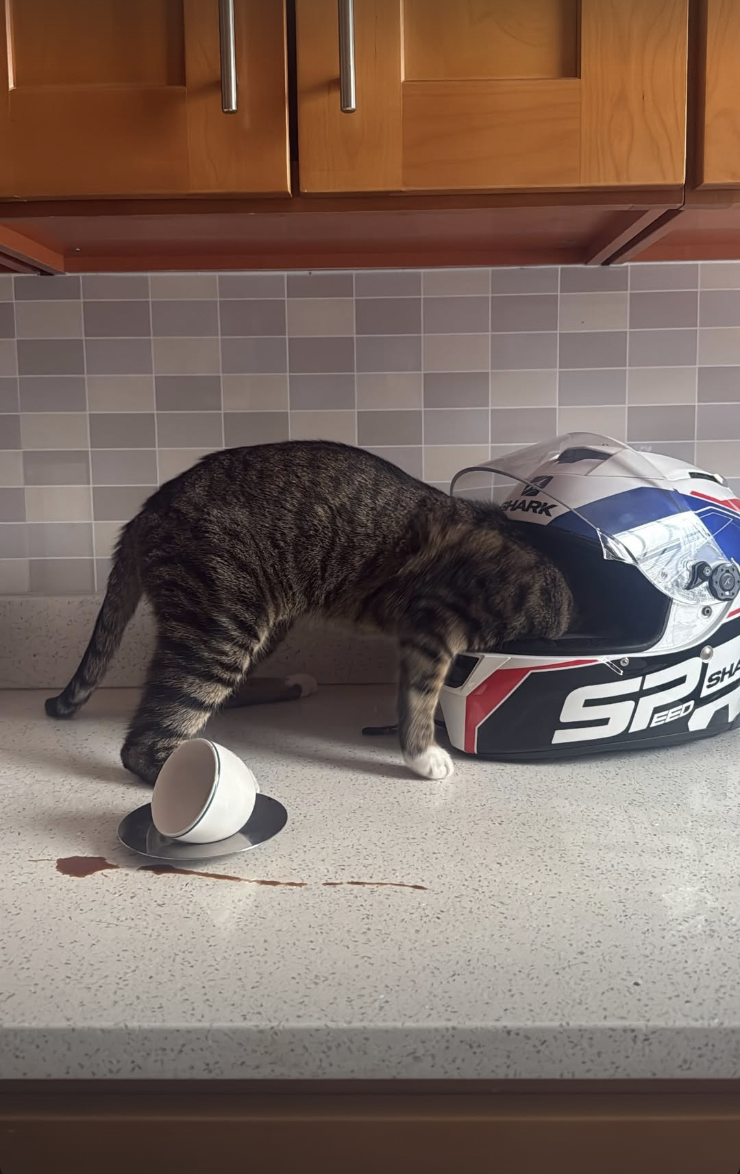 Screenshot 2026-02-12 at 11.45.24 PM.png