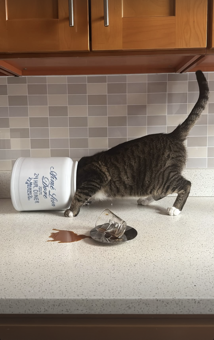 Screenshot 2026-02-12 at 11.44.37 PM.png