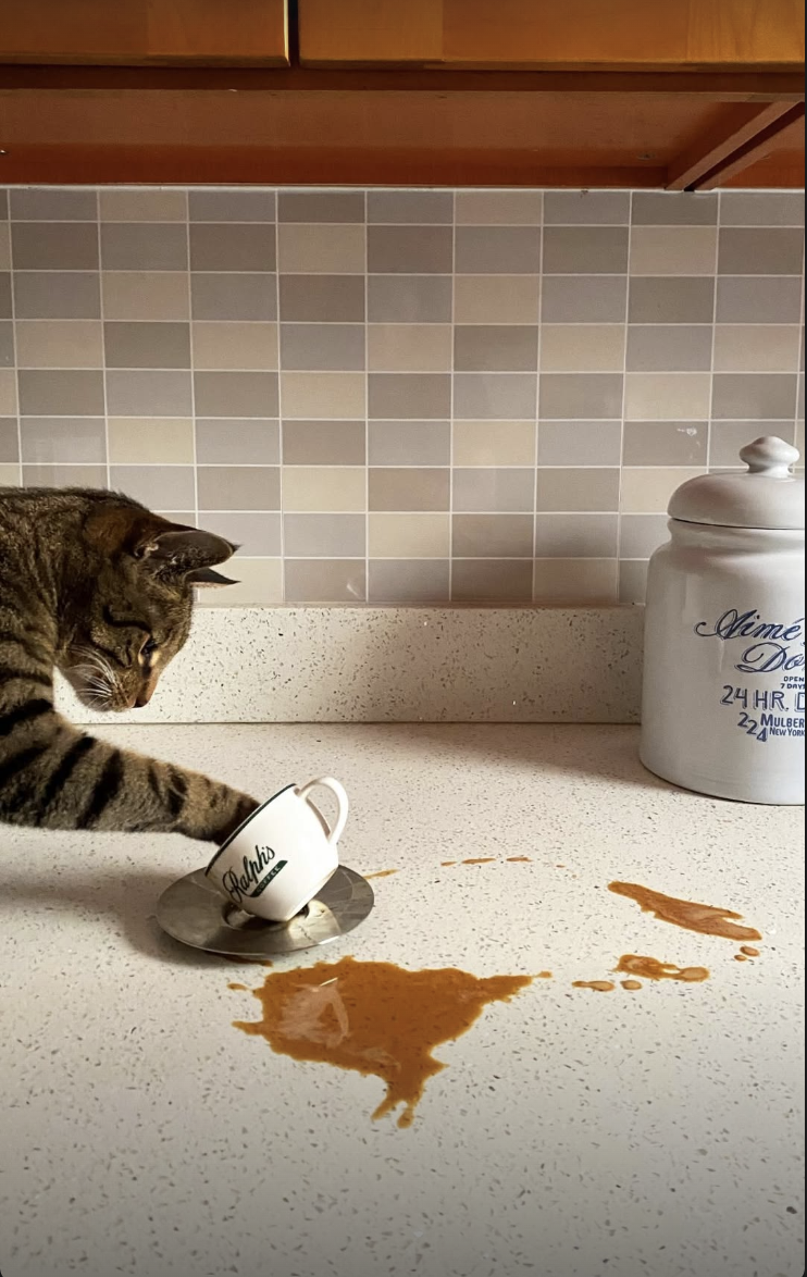 Screenshot 2026-02-12 at 11.42.04 PM.png