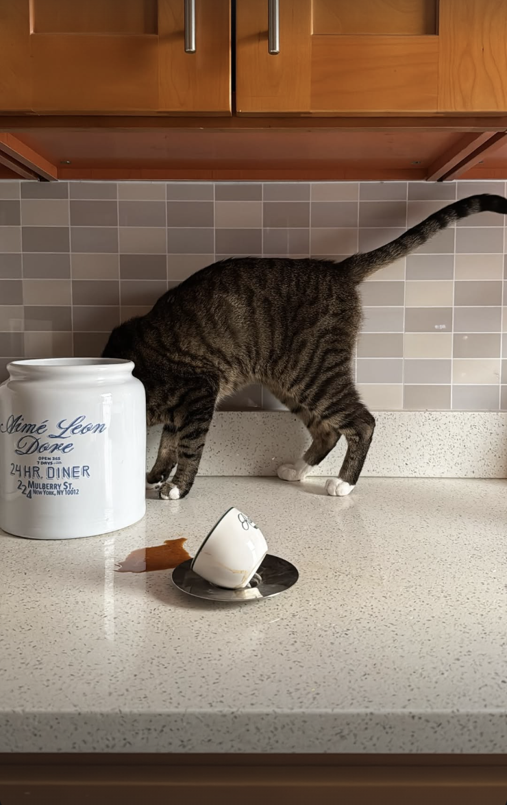 Screenshot 2026-02-12 at 11.43.53 PM.png