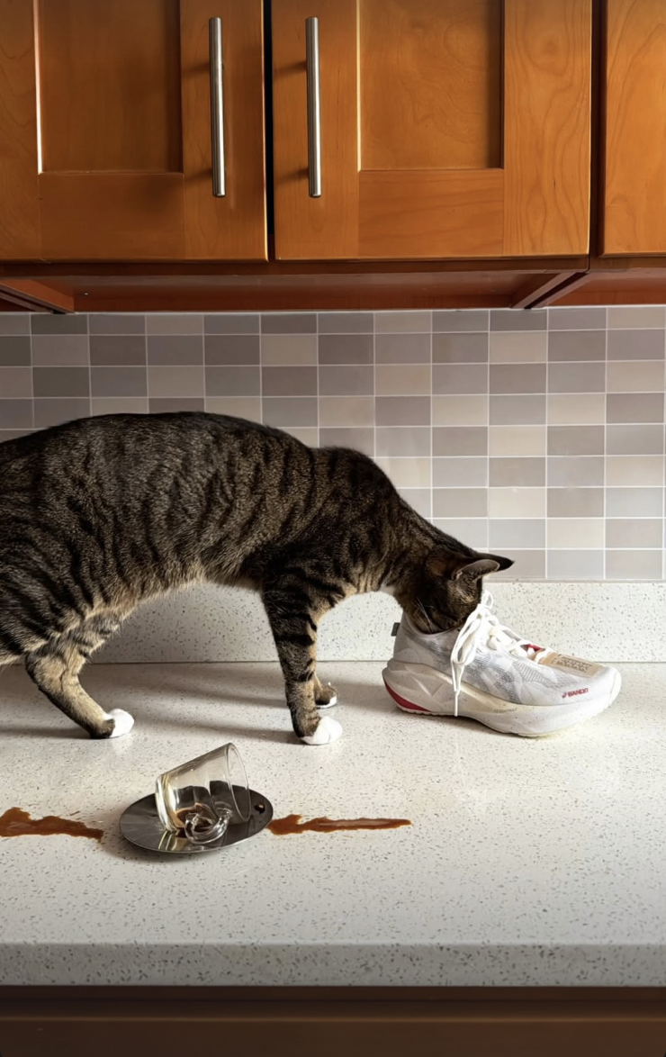 Screenshot 2026-02-12 at 11.44.29 PM.png