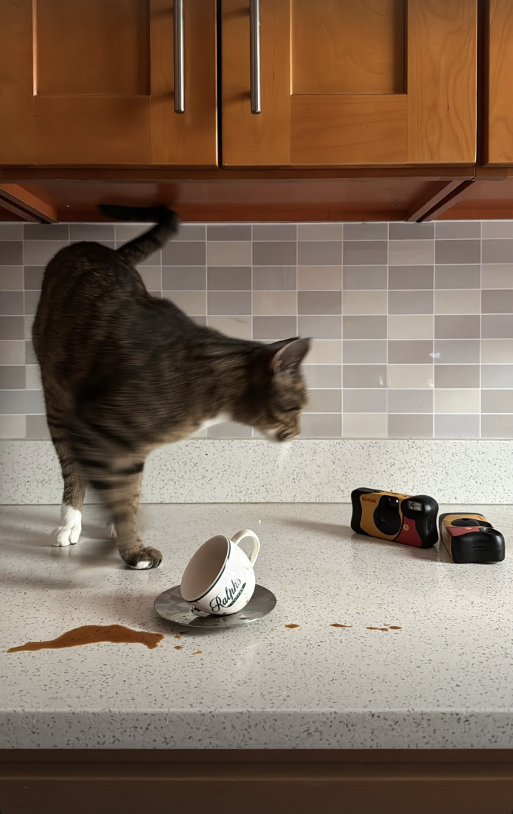 Screenshot 2026-02-12 at 11.44.55 PM.png