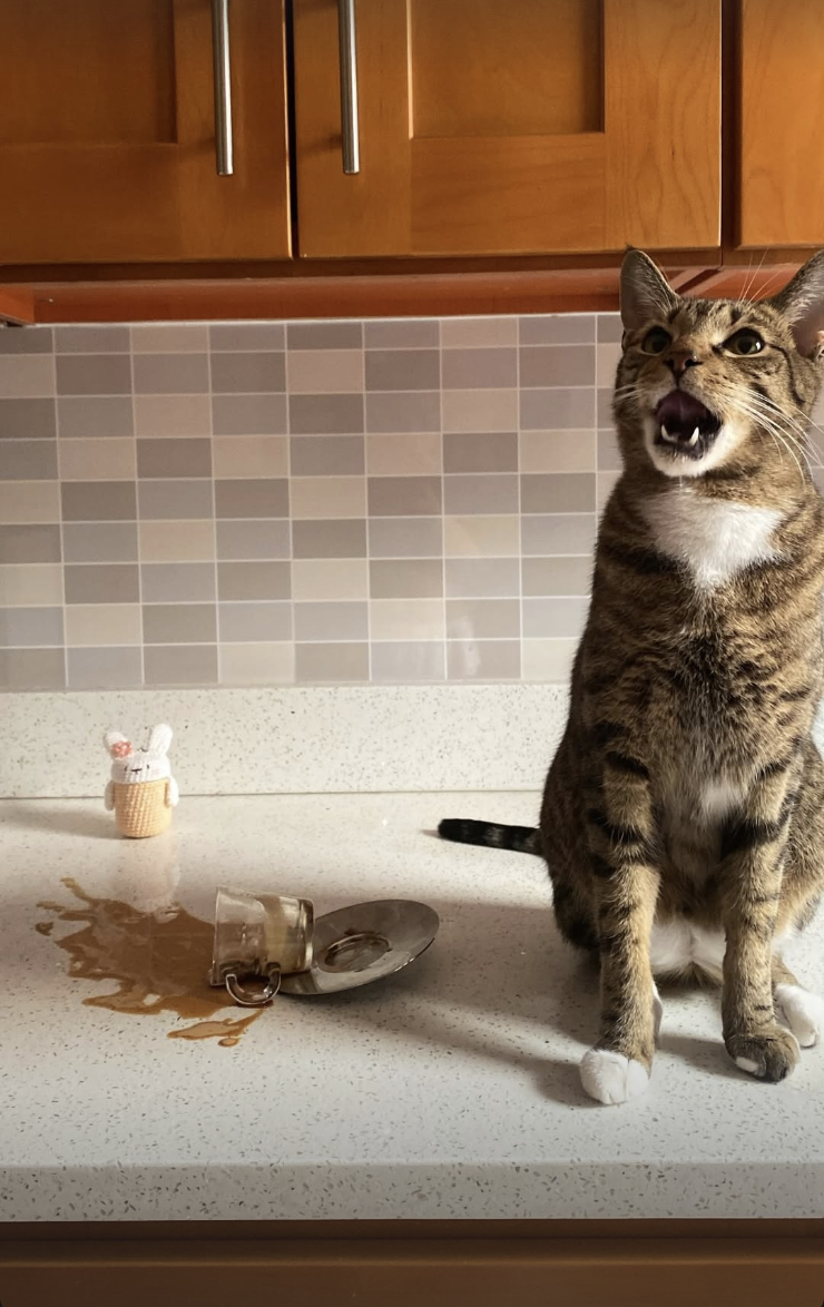 Screenshot 2026-02-12 at 11.43.43 PM.png