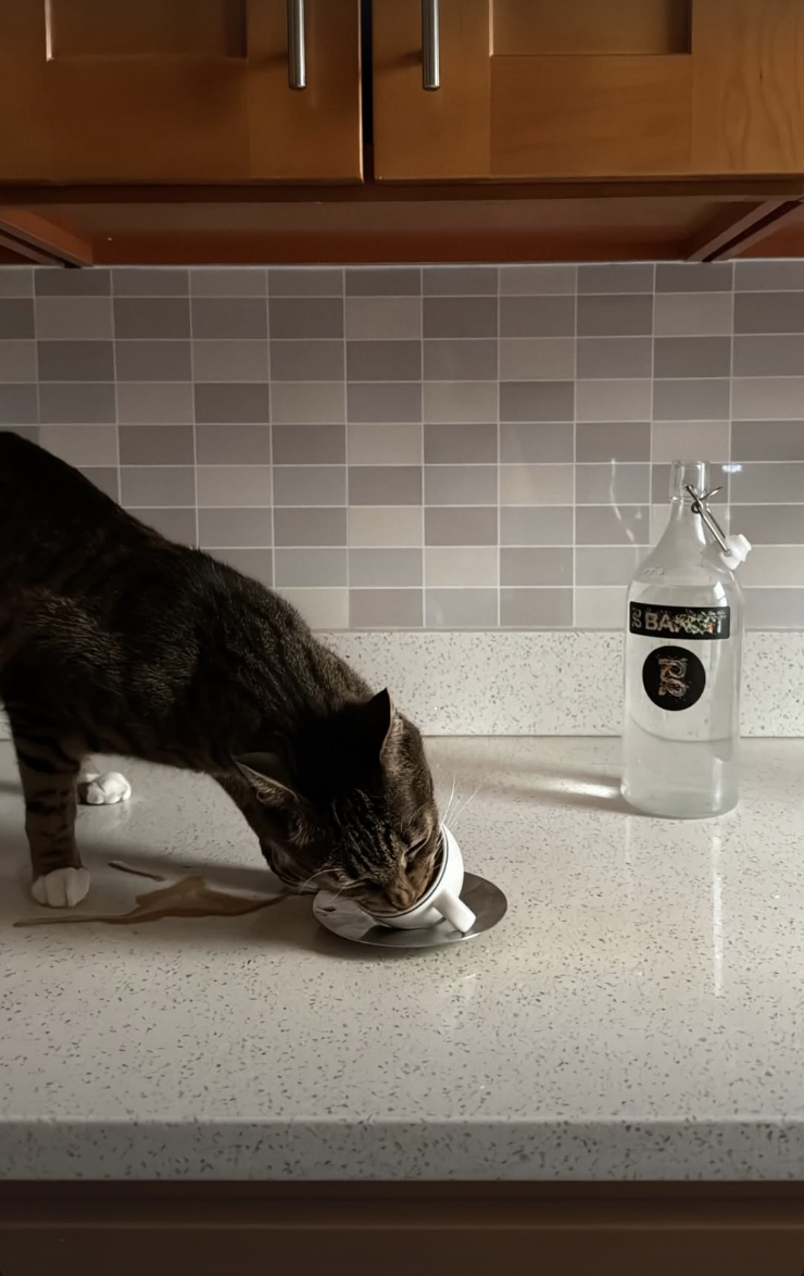 Screenshot 2026-02-12 at 11.44.20 PM.png