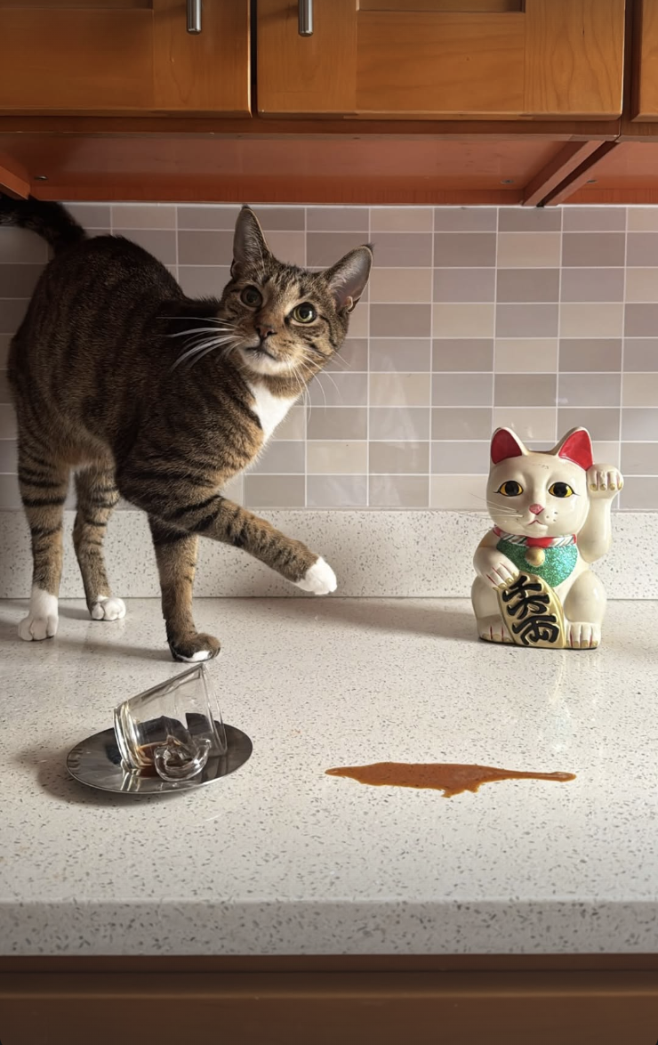 Screenshot 2026-02-12 at 11.44.59 PM.png