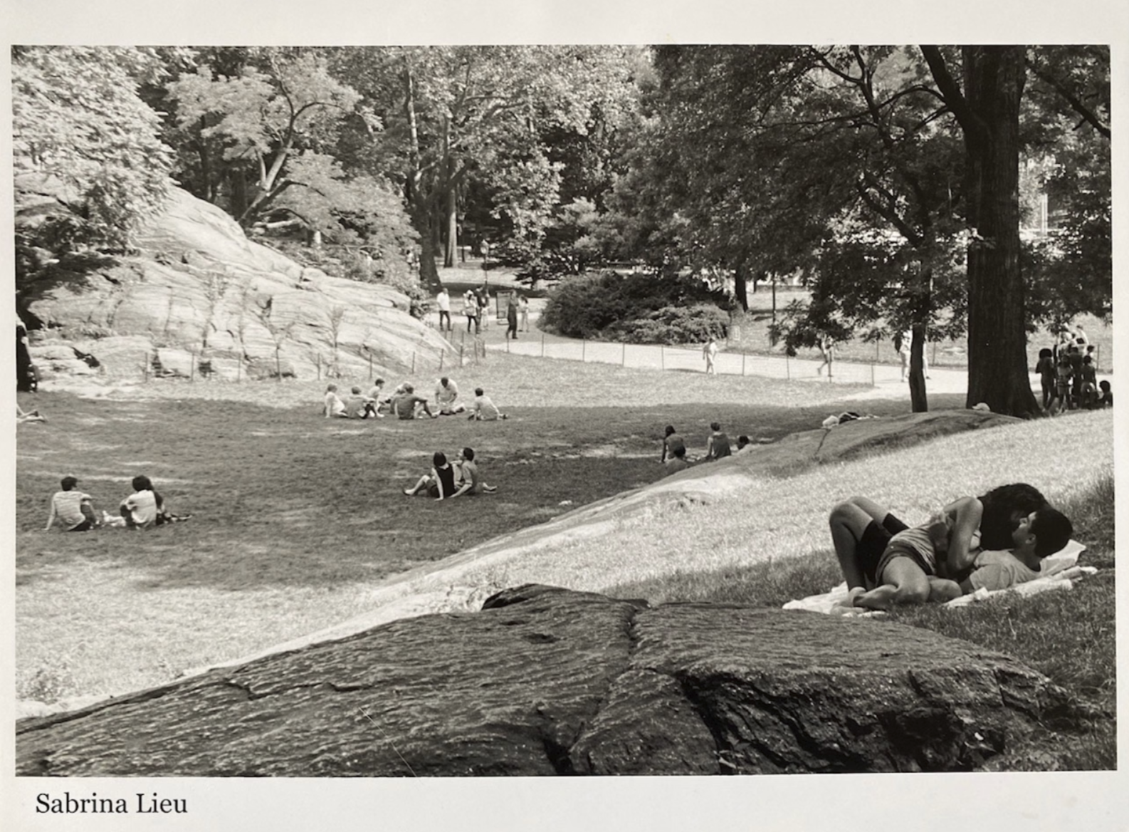 Screenshot 2026-02-19 at 2.06.30 AM.png