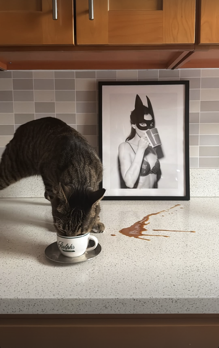 Screenshot 2026-02-12 at 11.44.04 PM.png