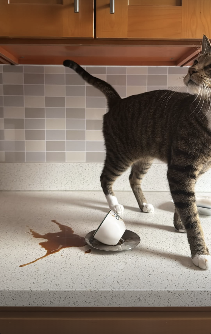 Screenshot 2026-02-12 at 11.43.56 PM.png