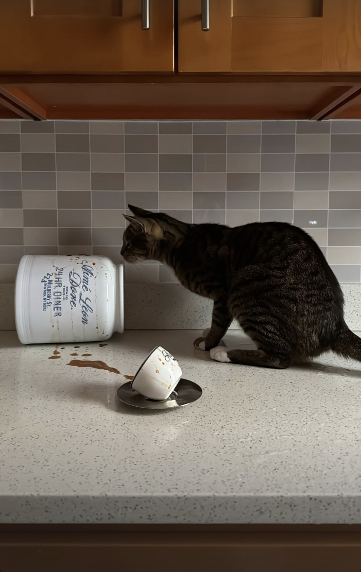 Screenshot 2026-02-12 at 11.43.59 PM.png