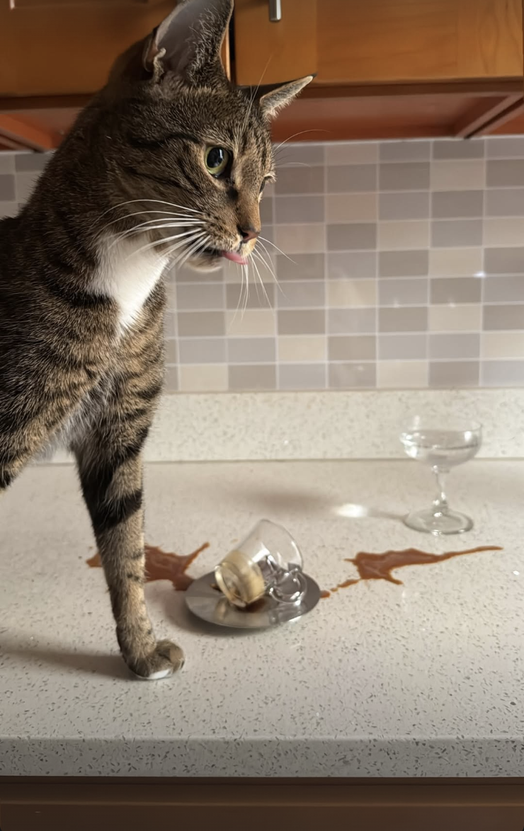 Screenshot 2026-02-12 at 11.44.07 PM.png